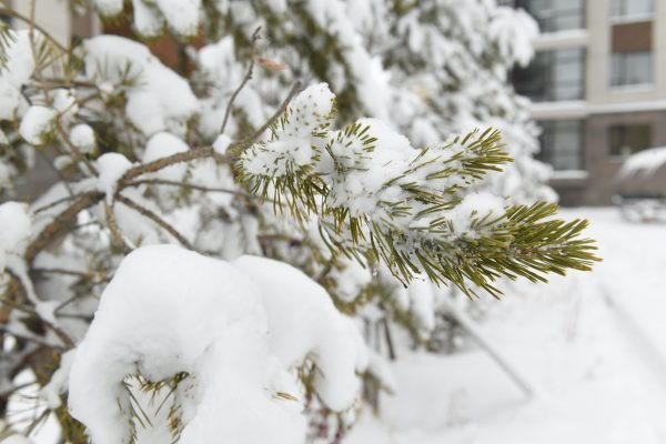 Арваннэгдүгээр сарын цаг агаарын ерөнхий төлөв